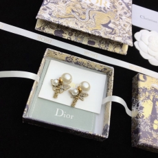 Christian Dior Earrings